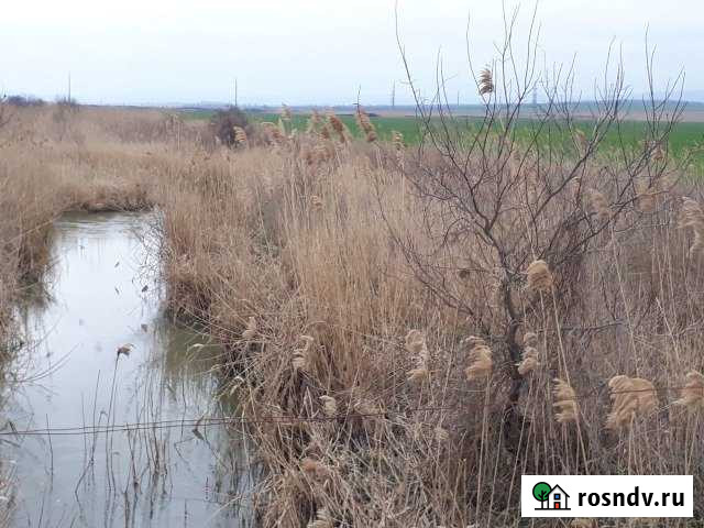 Участок СНТ, ДНП 150 сот. на продажу в Виноградном Виноградный - изображение 1