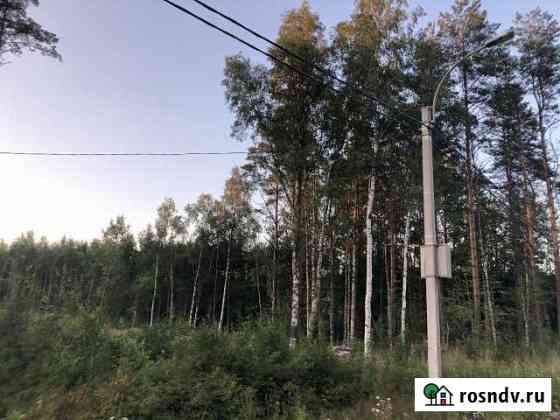 Участок СНТ, ДНП 12 сот. на продажу в Лебяжьем Ленинградской области Лебяжье