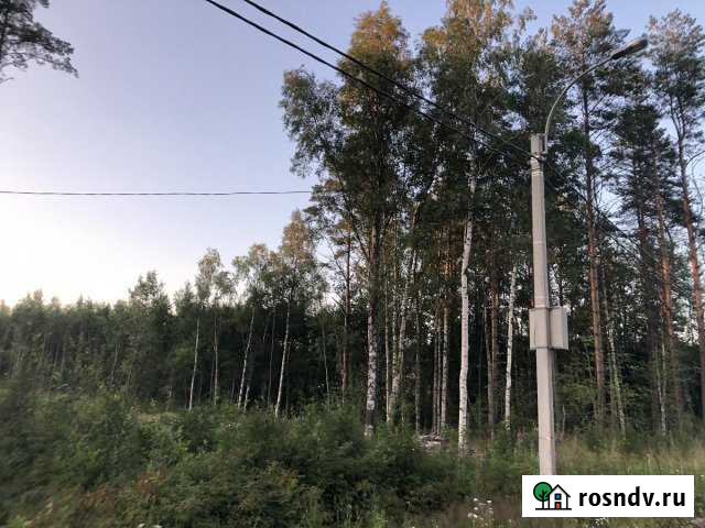 Участок СНТ, ДНП 12 сот. на продажу в Лебяжьем Ленинградской области Лебяжье - изображение 1