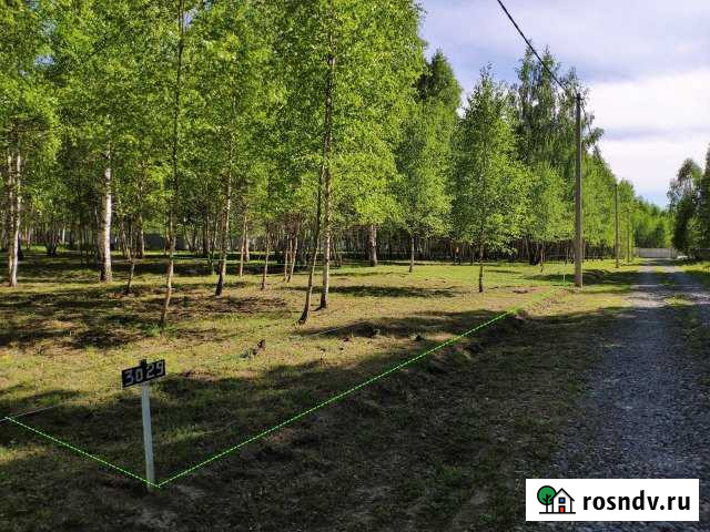 Участок СНТ, ДНП 10 сот. на продажу в Запрудне Запрудня - изображение 1