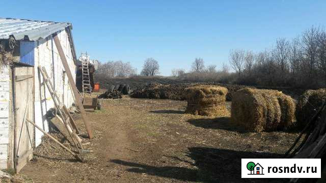 Дом 300 м² на участке 31 сот. на продажу в Измалково Измалково - изображение 1