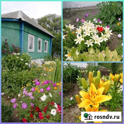 Дом 50 м² на участке 40 сот. на продажу в Роговатом Роговатое - изображение 1