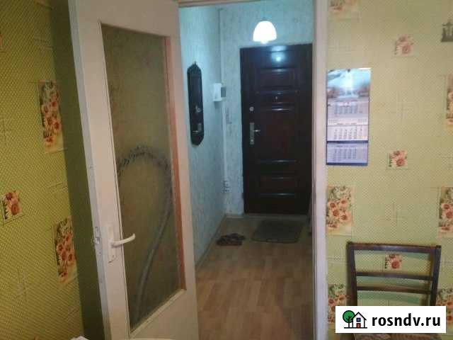 1-комнатная квартира, 38 м², 8/9 эт. в аренду на длительный срок в Сертолово Сертолово - изображение 1