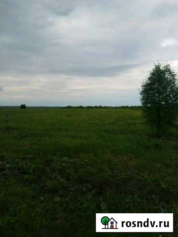 Участок ИЖС 40 сот. на продажу в Моргаушах Моргауши - изображение 1