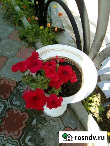 Дача 70 м² на участке 9 сот. на продажу в Излучинске Излучинск - изображение 1