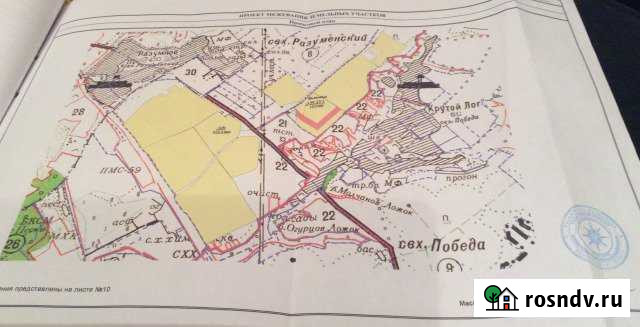 Участок СНТ, ДНП 1000 сот. на продажу в Разумном Разумное - изображение 1