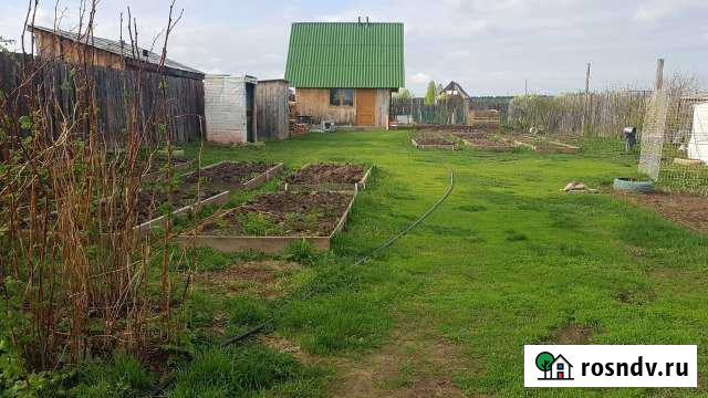 Участок ИЖС 20 сот. на продажу в Щелкуне Щелкун - изображение 1