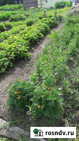 Участок СНТ, ДНП 11 сот. на продажу в Лесном Свердловской области Лесной - изображение 1