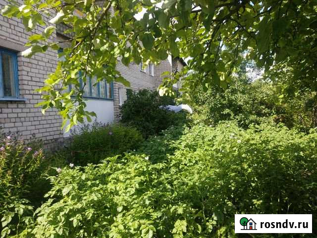 2-комнатная квартира, 56 м², 1/2 эт. на продажу на Острове Остров - изображение 1