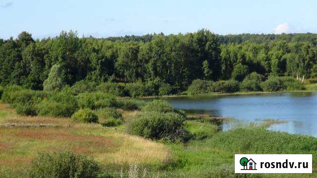 Участок ИЖС 10 сот. на продажу в Светлогорске Светлогорск - изображение 1