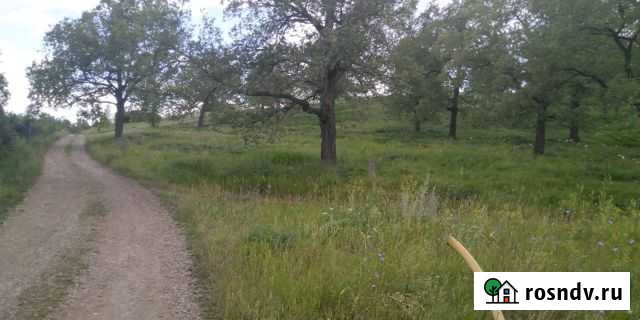 Участок СНТ, ДНП 10 сот. на продажу в Авдоне Авдон - изображение 1