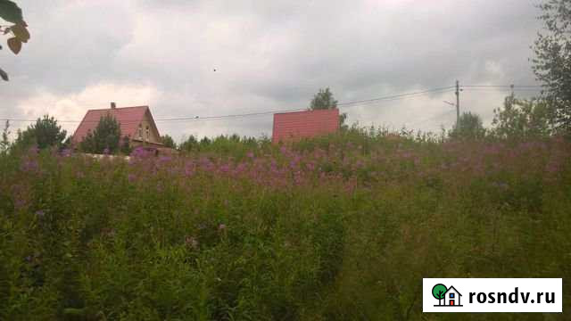 Участок СНТ, ДНП 8 сот. на продажу в Новосиньково Новосиньково - изображение 1