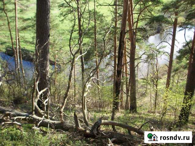 Участок СНТ, ДНП 100 сот. на продажу в Петровском Ярославской области Петровское - изображение 1