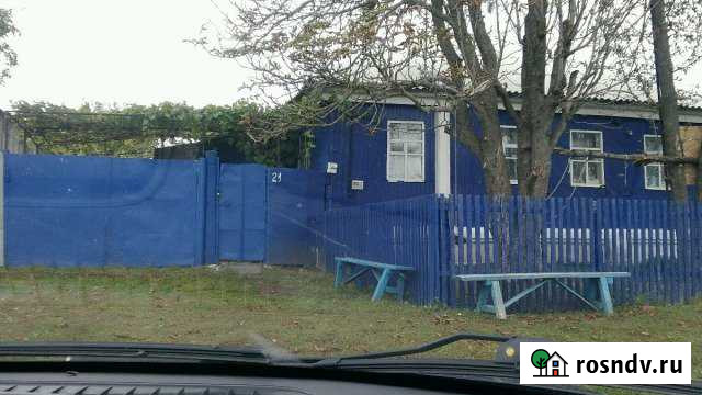 Дом 64 м² на участке 20 сот. на продажу в Репьевке Репьевка - изображение 1