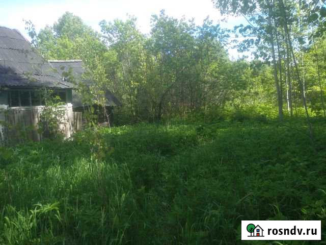 Дом 22.5 м² на участке 15.5 сот. на продажу в Плюссе Плюсса - изображение 1