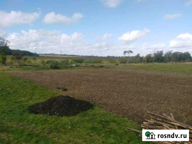 Участок СНТ, ДНП 200 сот. на продажу в Ладушкине Ладушкин - изображение 1