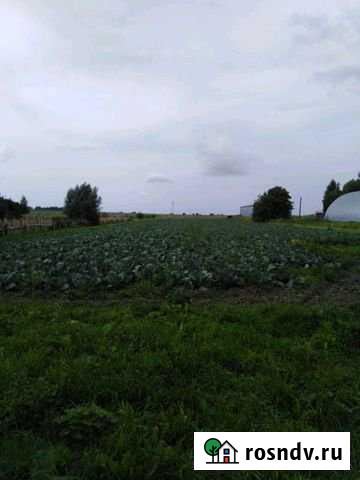 Дом 40 м² на участке 70 сот. на продажу в Юрином Юрино - изображение 1