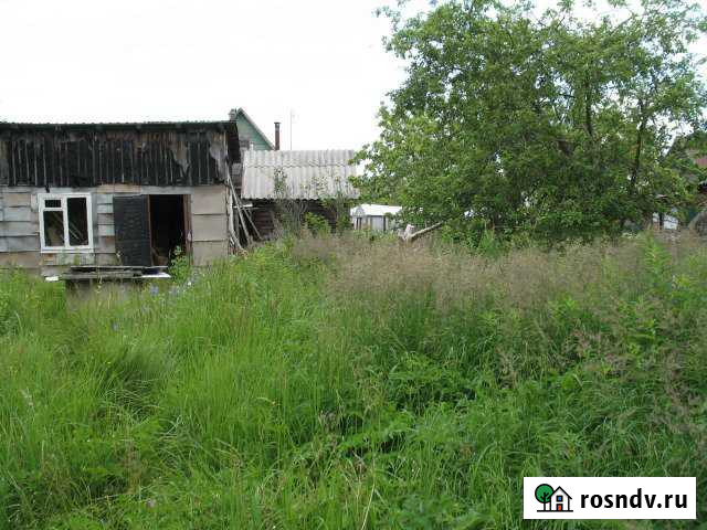 Участок СНТ, ДНП 6 сот. на продажу в Лебяжьем Ленинградской области Лебяжье - изображение 1