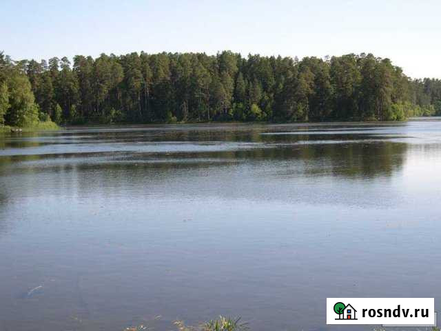 Участок ИЖС 30 сот. на продажу в Рудне Смоленской области Рудня - изображение 1