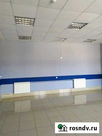 Торговый дом,дарья Цивильск - изображение 1