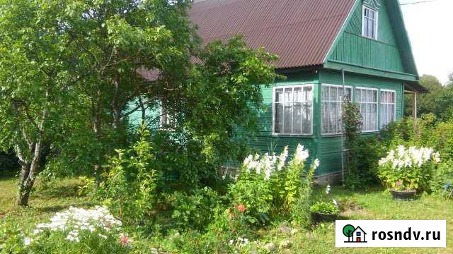 Дача 37 м² на участке 15 сот. на продажу в Волосово Волосово - изображение 1