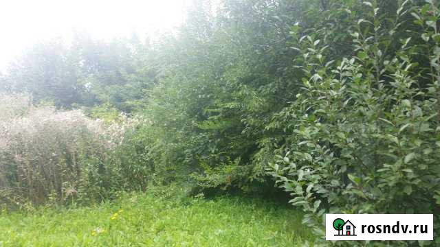 Участок ИЖС 9 сот. на продажу в Спасске-Дальнем Спасск-Дальний - изображение 1