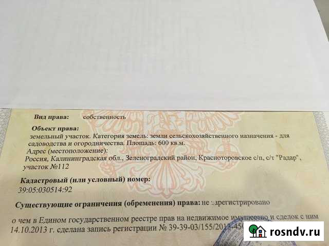 Участок СНТ, ДНП 6 сот. на продажу в Светлогорске Светлогорск - изображение 1