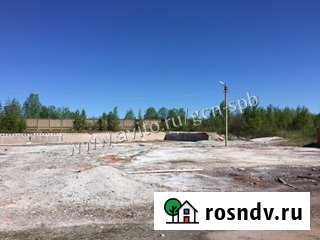 Участок промназначения 5 сот. в аренду в Никольском Ленинградской области Никольское - изображение 1