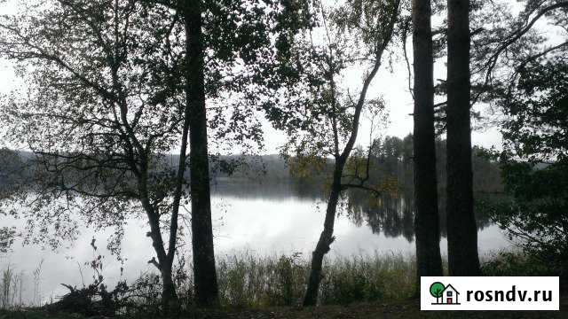 Участок СНТ, ДНП 670 сот. на продажу в Стругах Красных Струги Красные - изображение 1