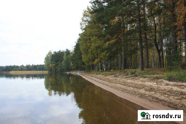 Участок СНТ, ДНП 20 сот. на продажу в Приозерске Приозерск - изображение 1