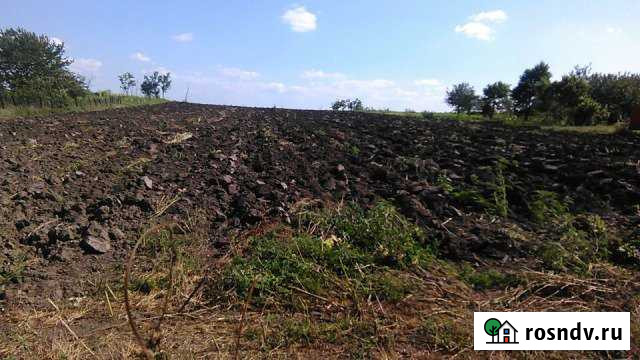 Участок СНТ, ДНП 50 сот. в аренду в Рязанской Рязанская - изображение 1