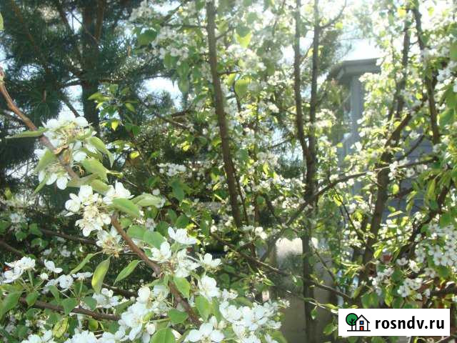 Участок СНТ, ДНП 11 сот. на продажу в Боголюбово Боголюбово - изображение 1