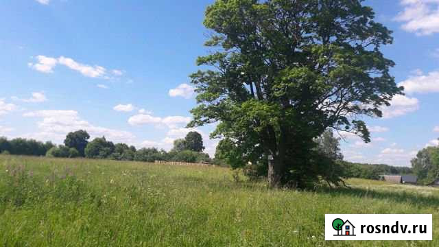 Участок ИЖС 17 сот. на продажу в Медыни Медынь - изображение 1