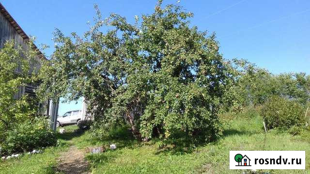 Дом 54 м² на участке 13 сот. на продажу в Кондопоге Кондопога - изображение 1