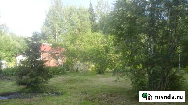 Дача 20 м² на участке 12 сот. на продажу в Толмачево Ленинградской области Толмачево - изображение 1