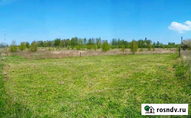 Участок СНТ, ДНП 8 сот. на продажу в Янтарном Янтарный - изображение 1