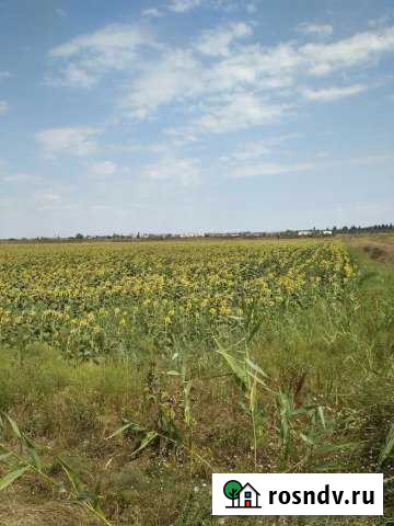 Участок СНТ, ДНП 573 сот. на продажу в Энеме Энем - изображение 1