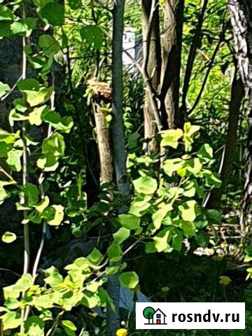 Участок ИЖС 20 сот. на продажу в Плеханово Плеханово - изображение 1