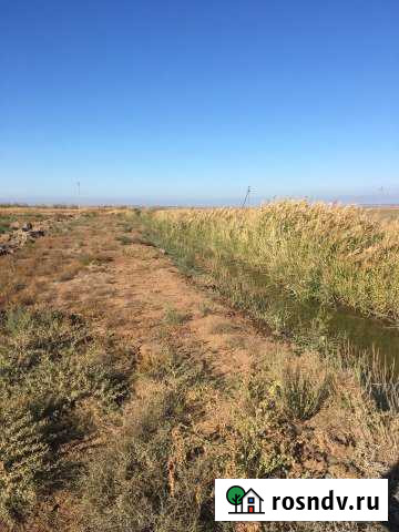Участок СНТ, ДНП 16000 сот. в аренду в Приморске Волгоградской области Приморск - изображение 1