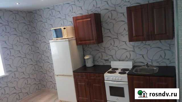 1-комнатная квартира, 50 м², 2/12 эт. в аренду на длительный срок в Краснообске Краснообск - изображение 1