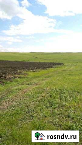 Участок СНТ, ДНП 250 сот. на продажу в Березовке Красноярского края Березовка - изображение 1