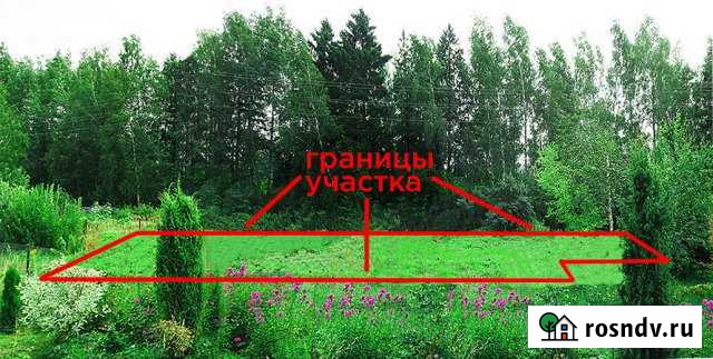 Участок СНТ, ДНП 8 сот. на продажу в Лесном Городке Лесной Городок - изображение 1