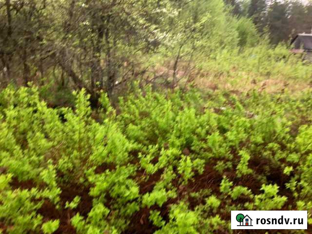 Участок ИЖС 6 сот. на продажу в Малой Вишере Малая Вишера - изображение 1