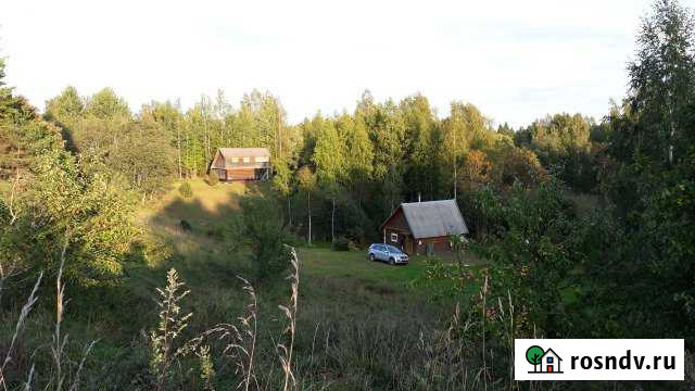 Участок СНТ, ДНП 67 сот. на продажу в Стругах Красных Струги Красные - изображение 1