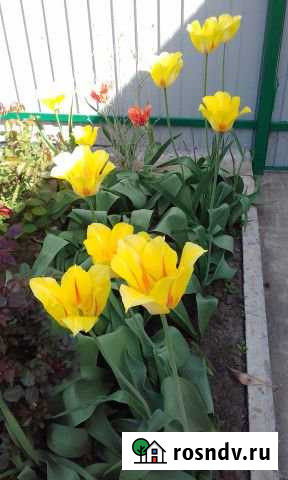 Участок ИЖС 5 сот. на продажу в Батайске Батайск - изображение 1