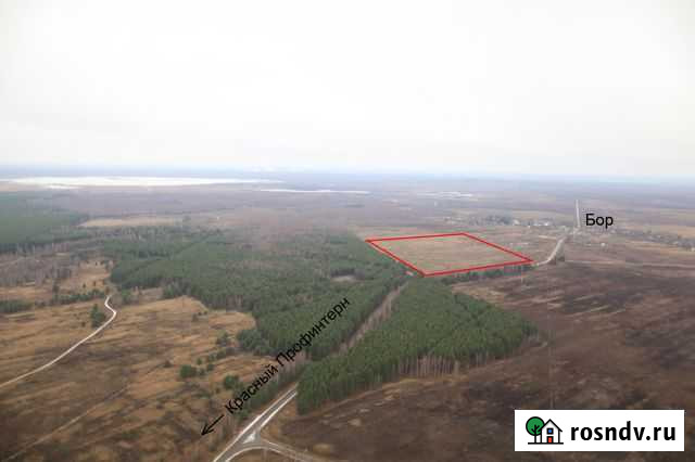 Участок СНТ, ДНП 20 сот. на продажу в Некрасовском Ярославской области Некрасовское - изображение 1