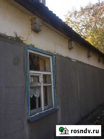 Дом 50 м² на участке 44 сот. на продажу в Репьевке Репьевка - изображение 1