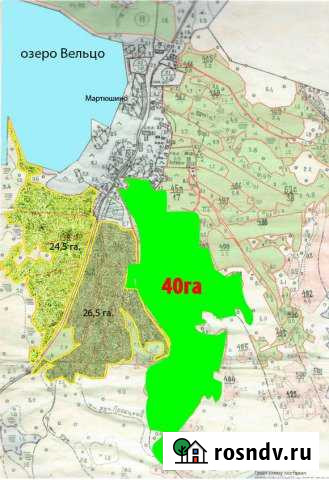 Участок СНТ, ДНП 4500 сот. в аренду в Вышнем Волочке Вышний Волочек - изображение 1