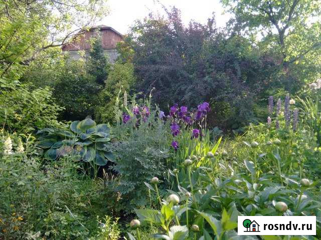 Дом 48.7 м² на участке 31 сот. на продажу в Хлевном Хлевное - изображение 1