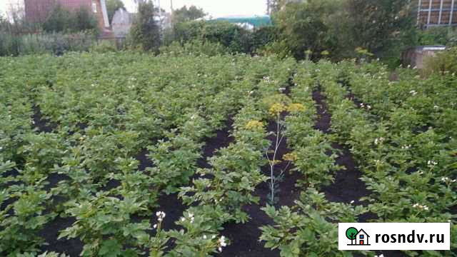 Участок СНТ, ДНП 5 сот. на продажу в Алексеевке Республики Башкортостан Алексеевка - изображение 1